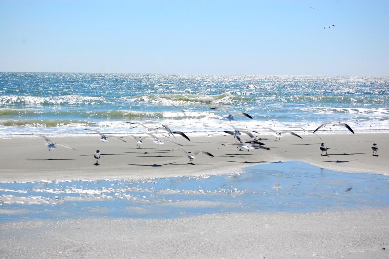 Appartamento Waterpoint II 402 Myrtle Beach Esterno foto